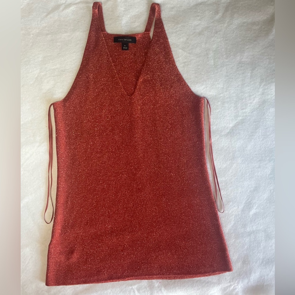 XL- Ann Taylor Shimmer V-Neck